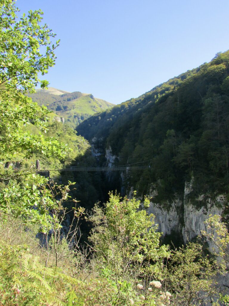 Pasarela de Holzarte