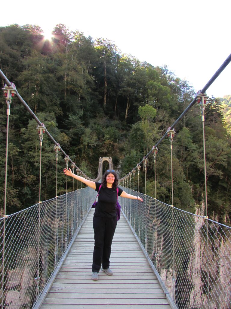 Pasarela de Holzarte