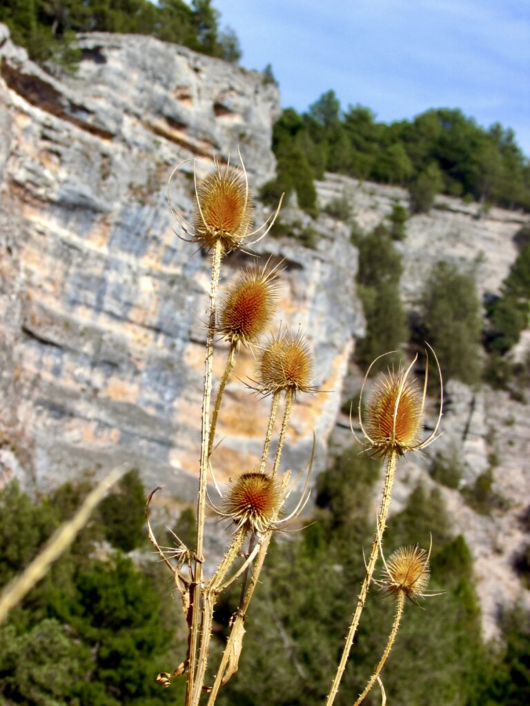 Otoño en el cañón de Riolobos