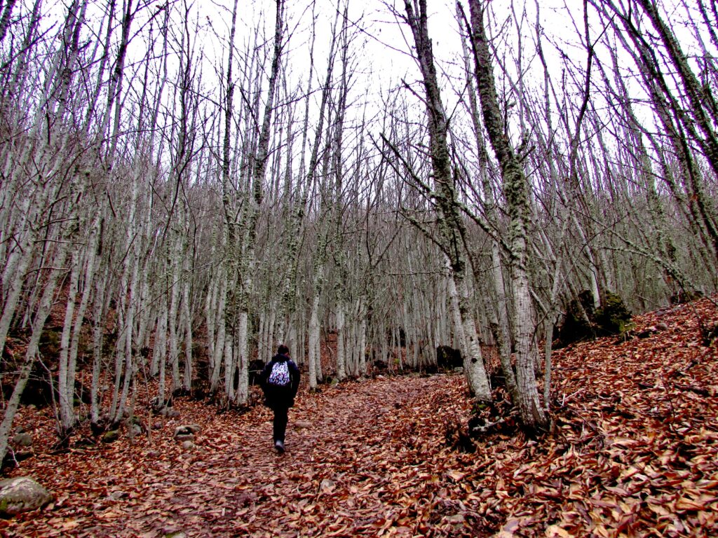 Rutas de otoño