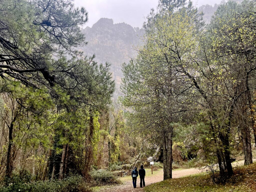 Parque Natural de los Calares del Río Mundo