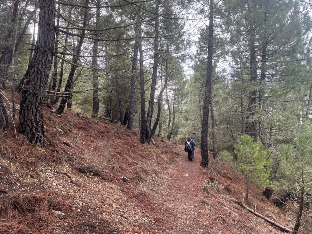 Ruta otoñal hacia el nacimiento del Río Mundo