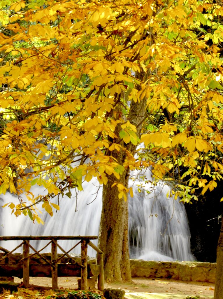 Otoño en el monasterio de Piedra