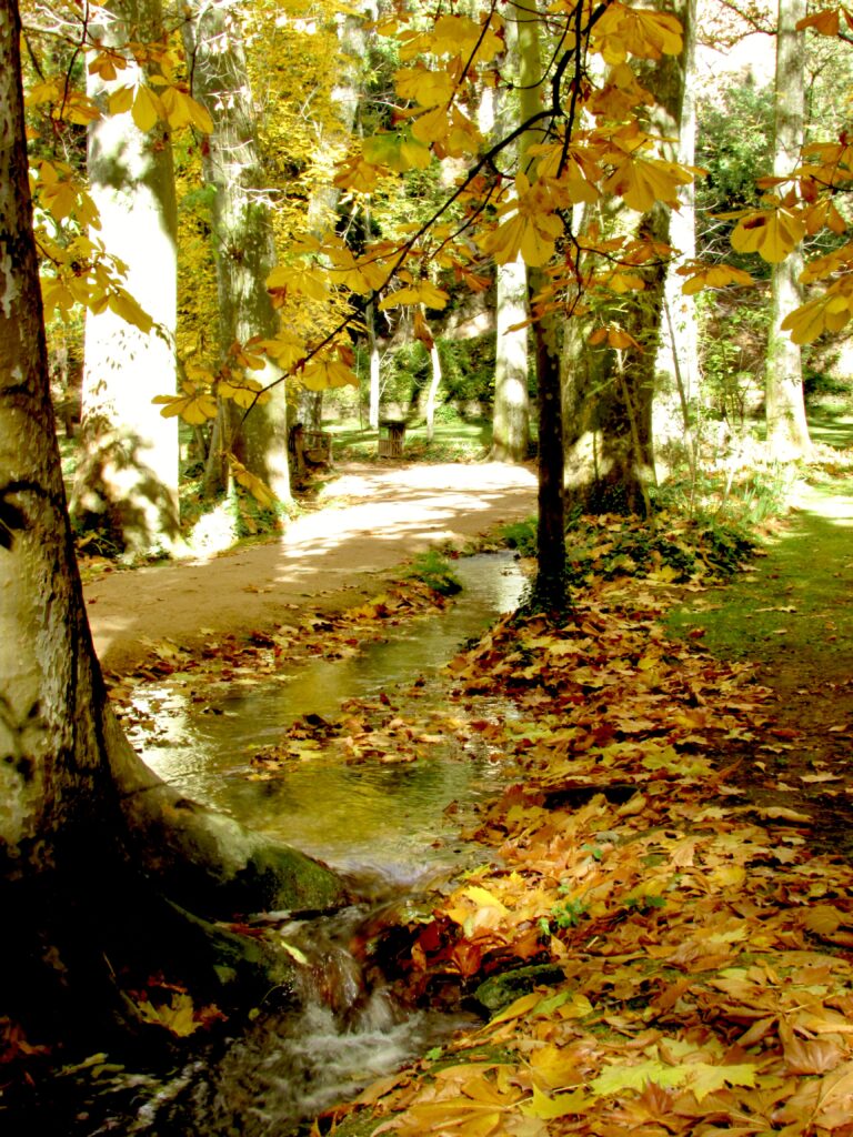 Rutas de otoño