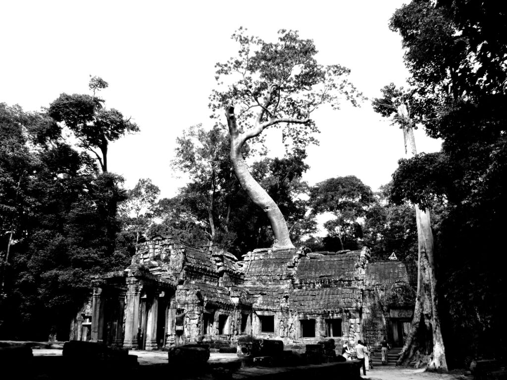 Ta Prohm