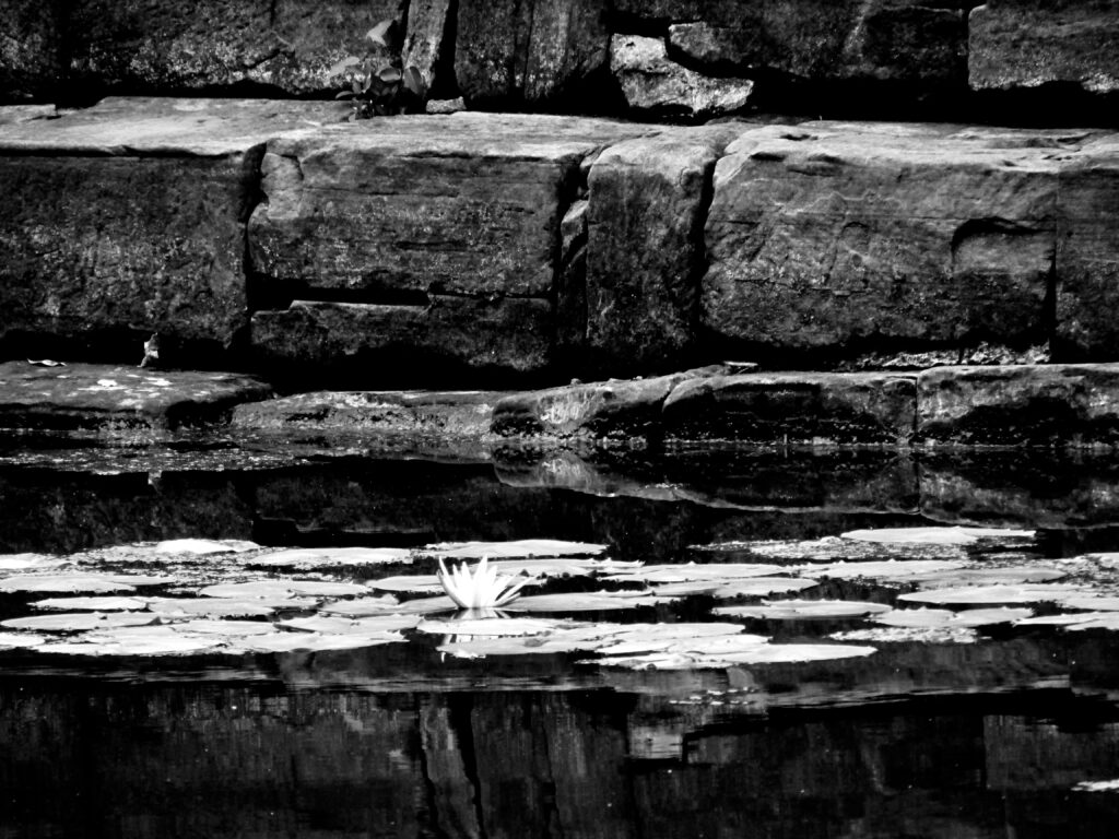 Descubrir Angkor Wat