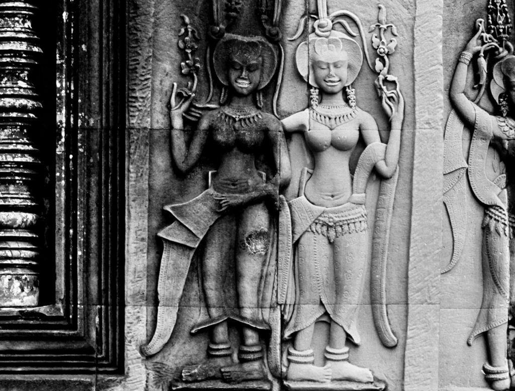 Relieve de pasarás en Angkor Wat