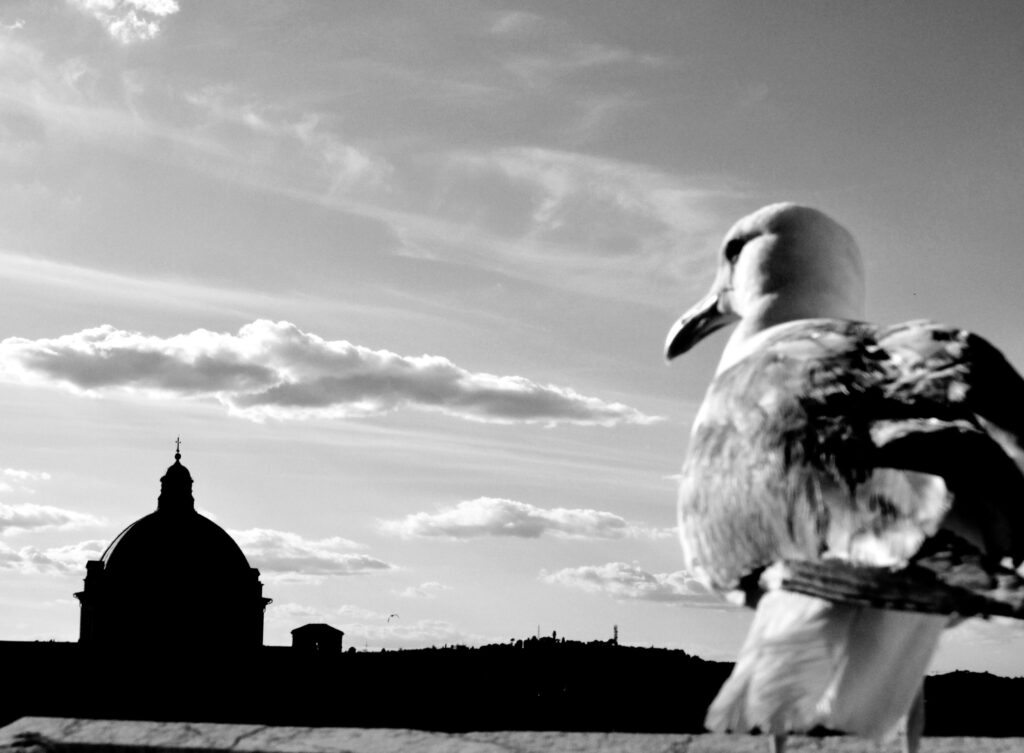 Roma a vista de pájaro