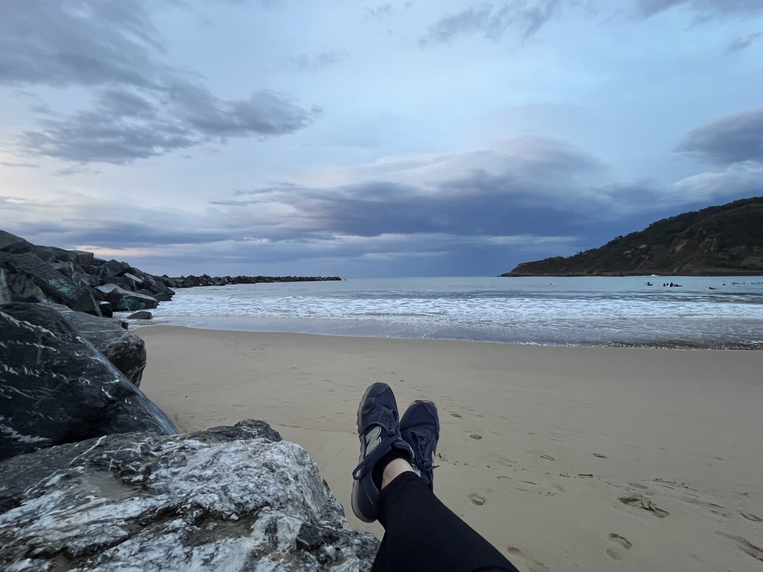 Newsletter de noviembre