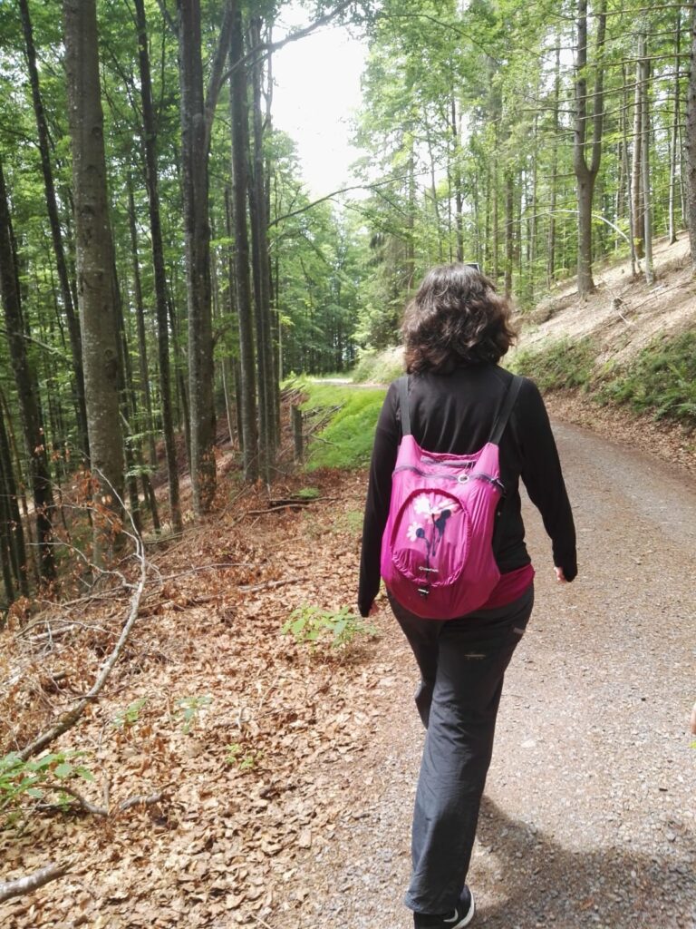 De ruta por la Selva Negra