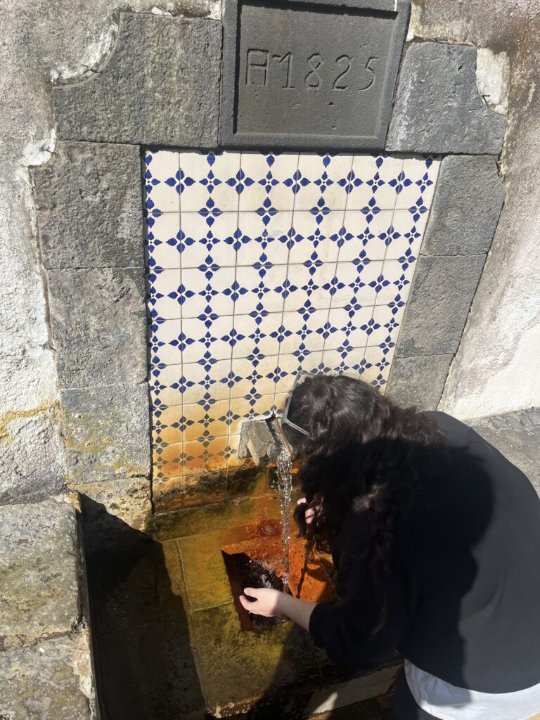 Agua ferrosa en Furnas