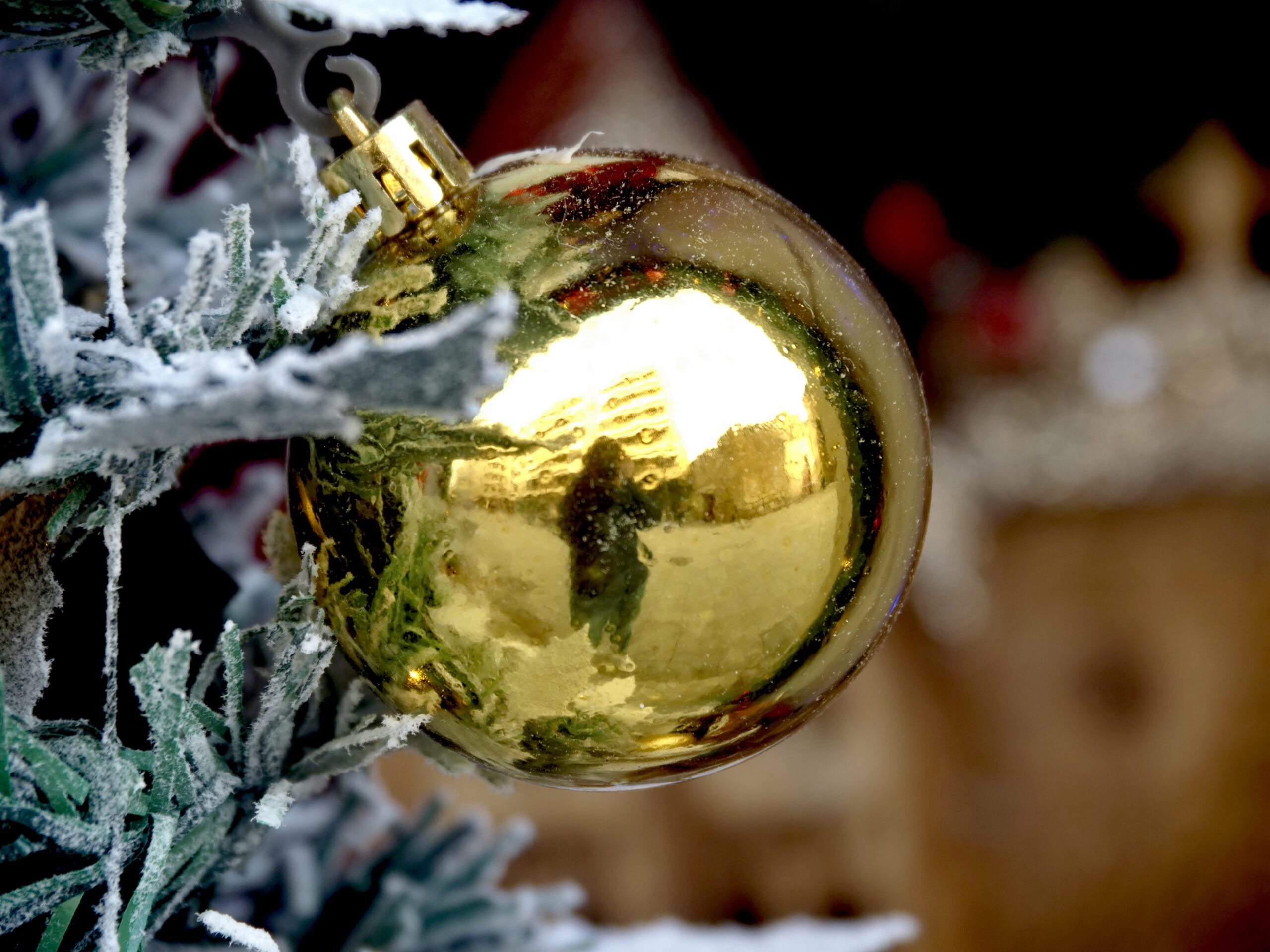 Un soñador entre los locos