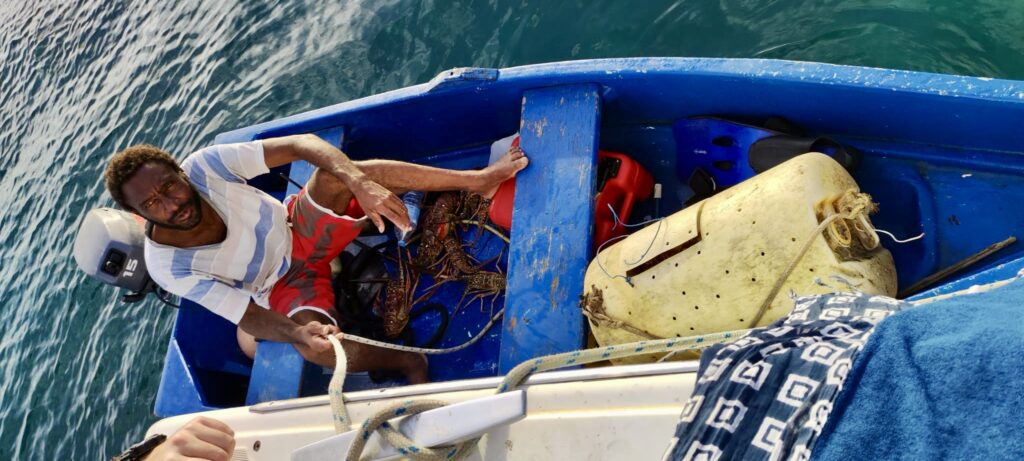 Langosta a domicilio