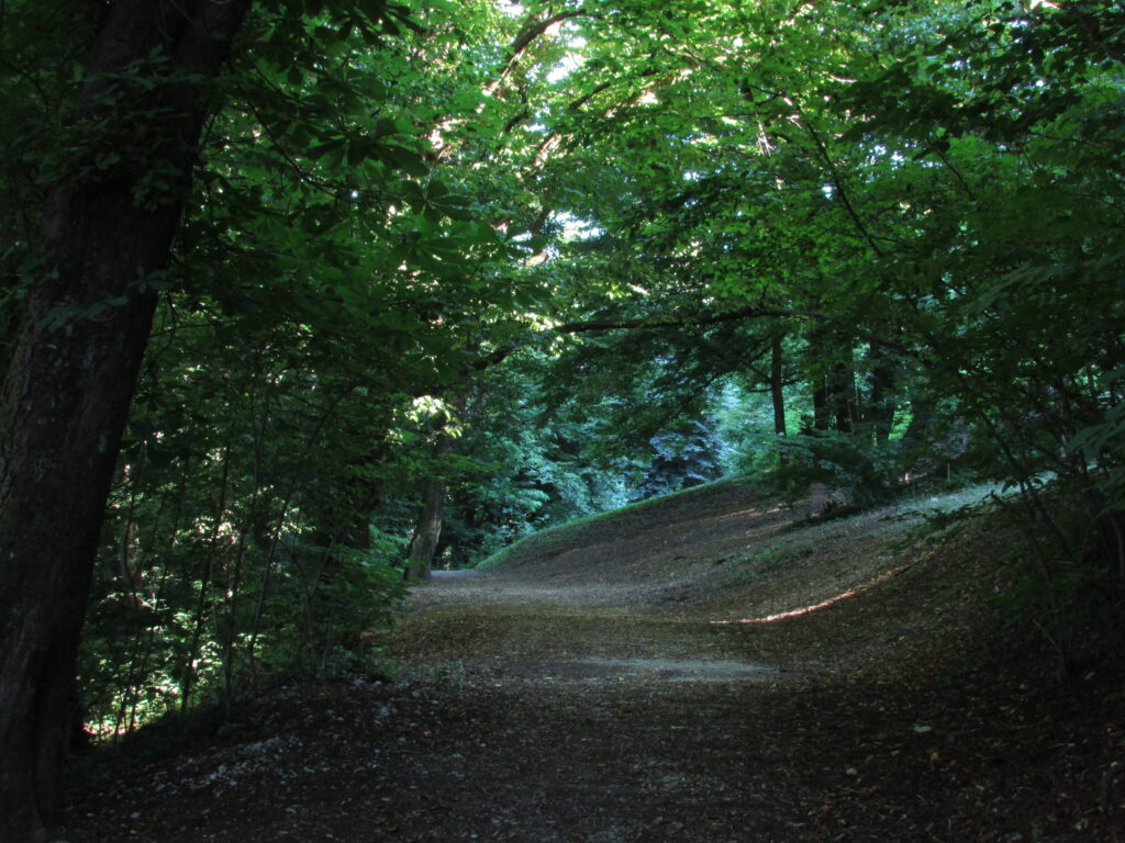 Senderos en el castillo de Ljubliana