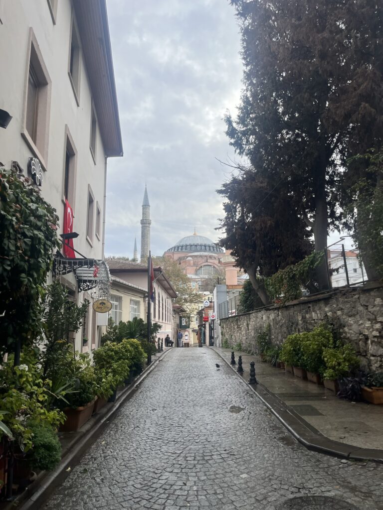 Zona trasera de Santa Sofía