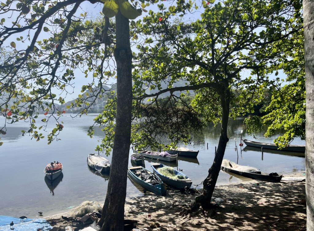 Lagoa Rodrigo de Freitas