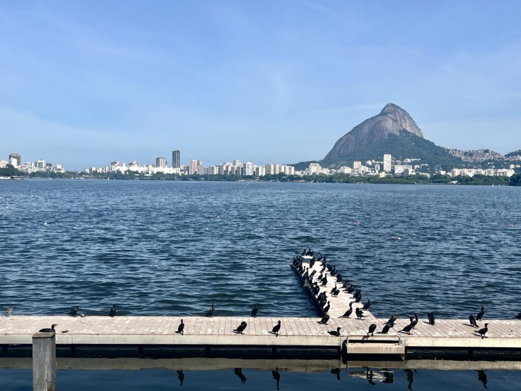 Lagoa