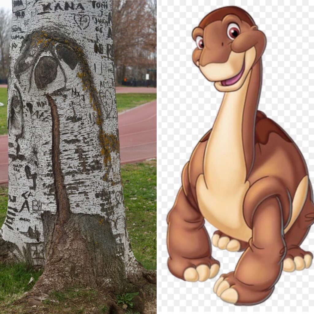 e incluso a Piecitos!