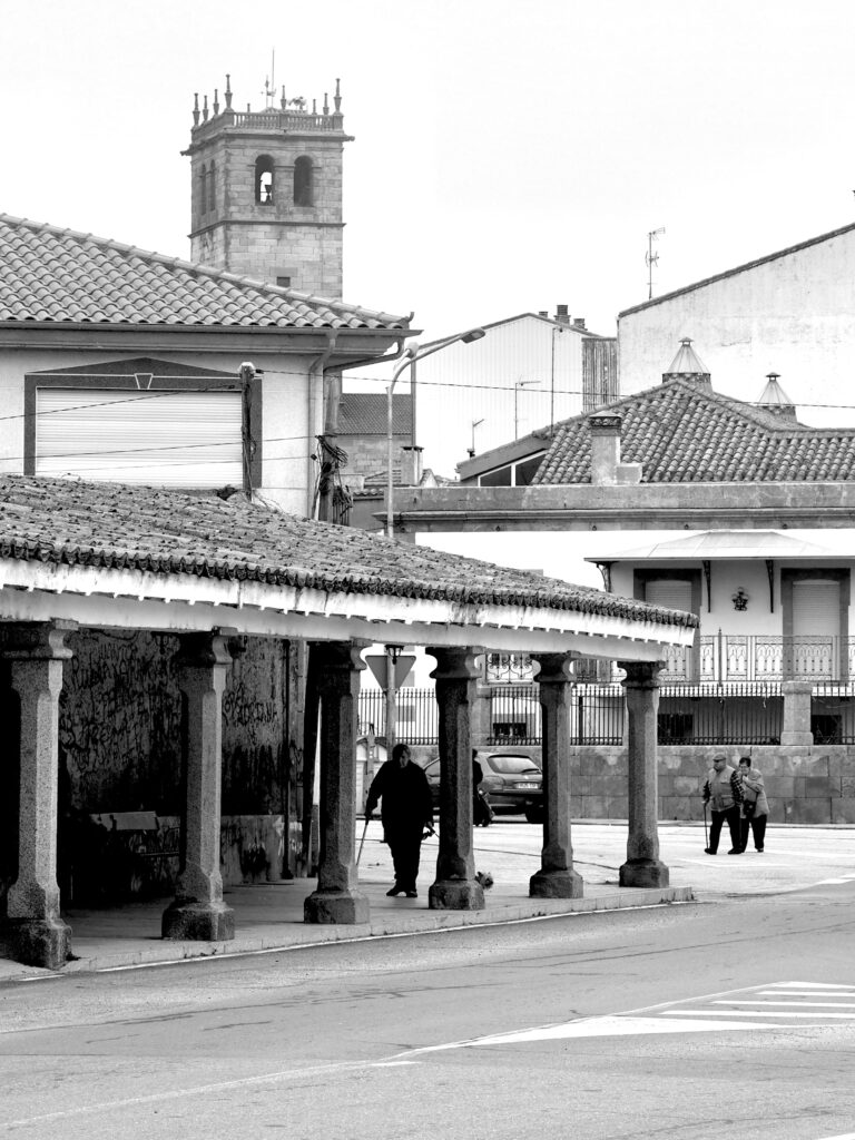 Mañanitas de niebla, tardes de paseo