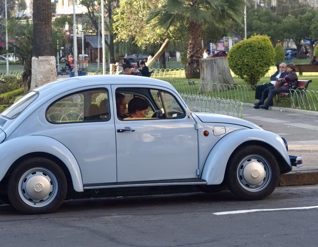 Somos una especie en viaje