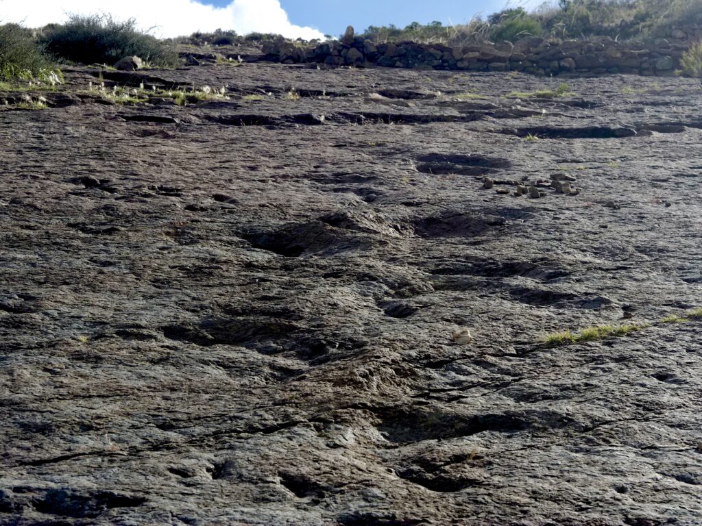 Huellas de dinosaurios