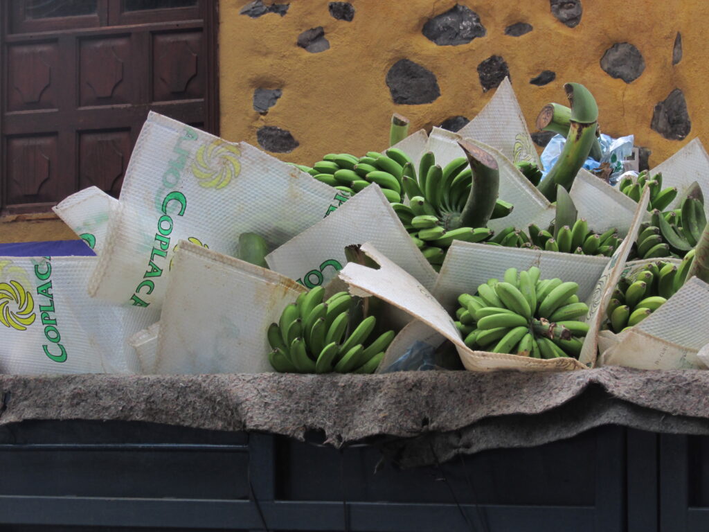 Plátano de Canarias