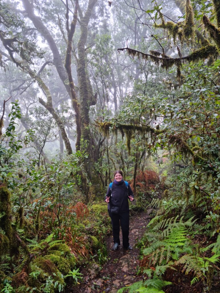 Senderismo en Garajonay