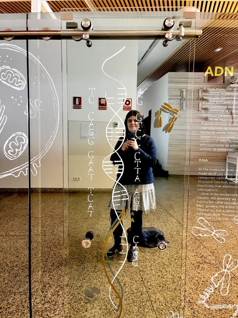 Hélice de ADN en el Museo de la Evolución Humana de Burgos