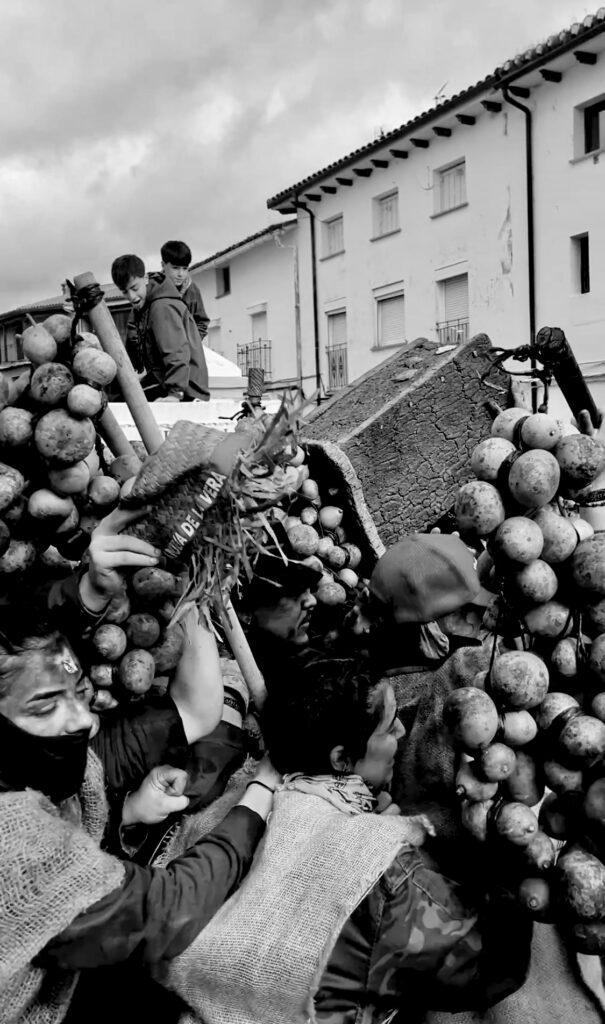 Quintos y calabaceros