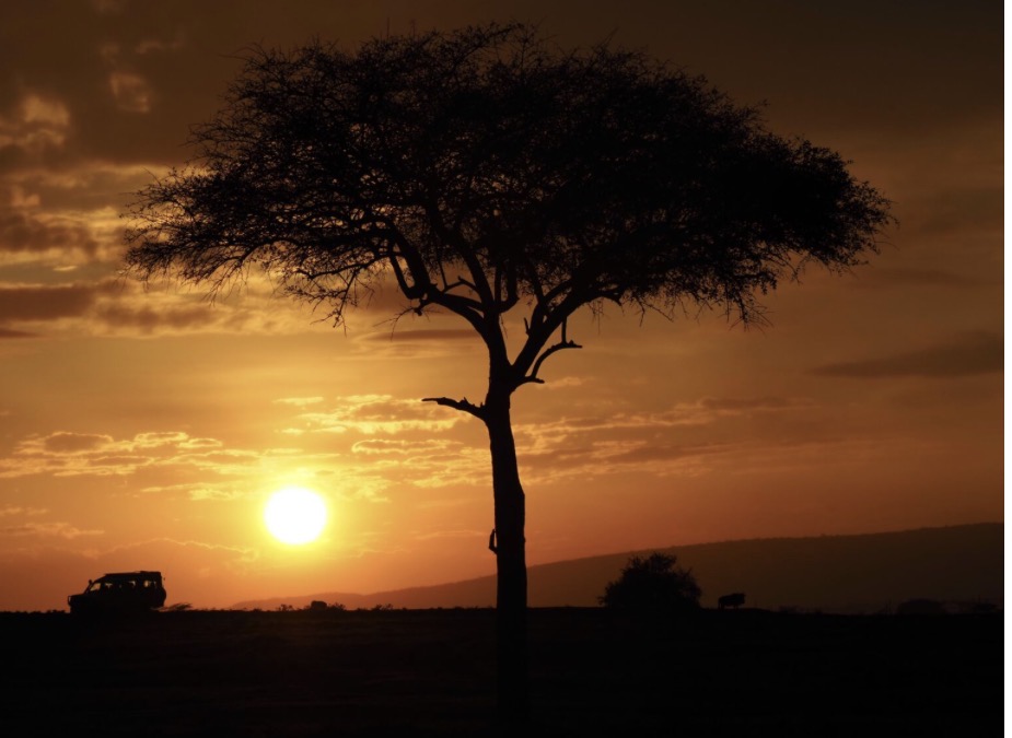 Atardeceres