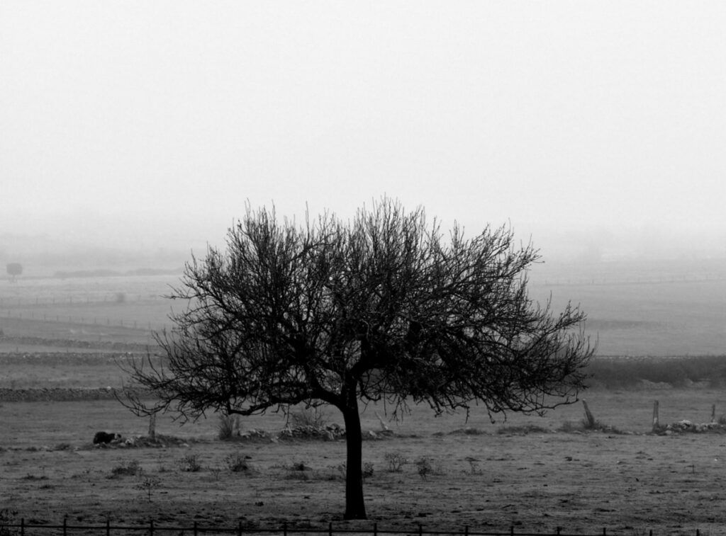 Minimalismo