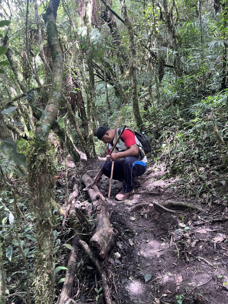 Roberto Carlos, el guía de El Caminante