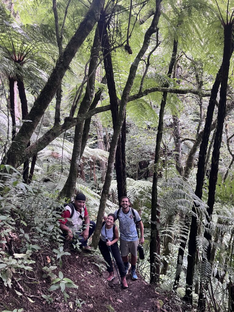 Roberto Carlos, Tomás y Carla en el bosque de helechos