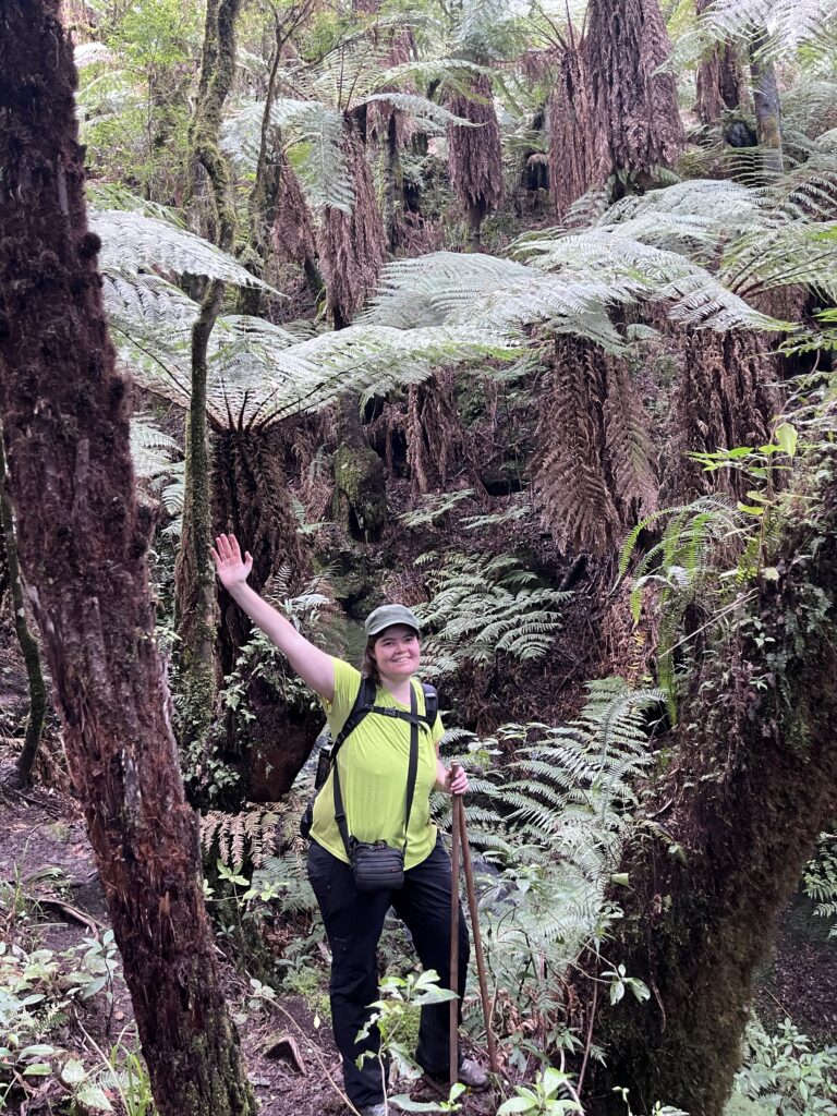 Parque nacional de Amboró