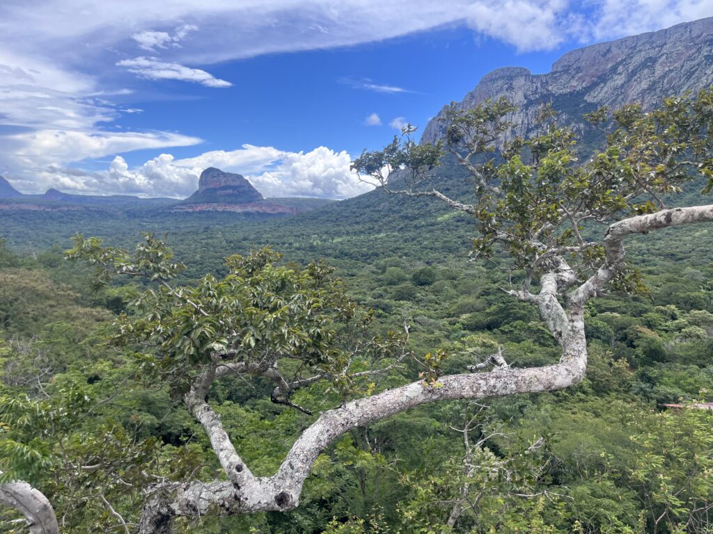 Mirador del guardián en Chochis