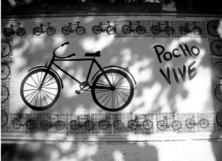Mural de Pocho Vive en las paredes del hospital Alvear. La Paternal, Buenos Aires