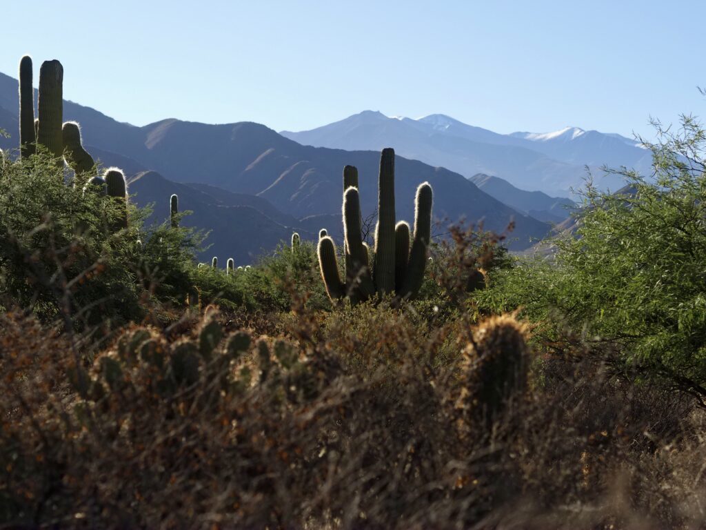 Valles calchaquíes