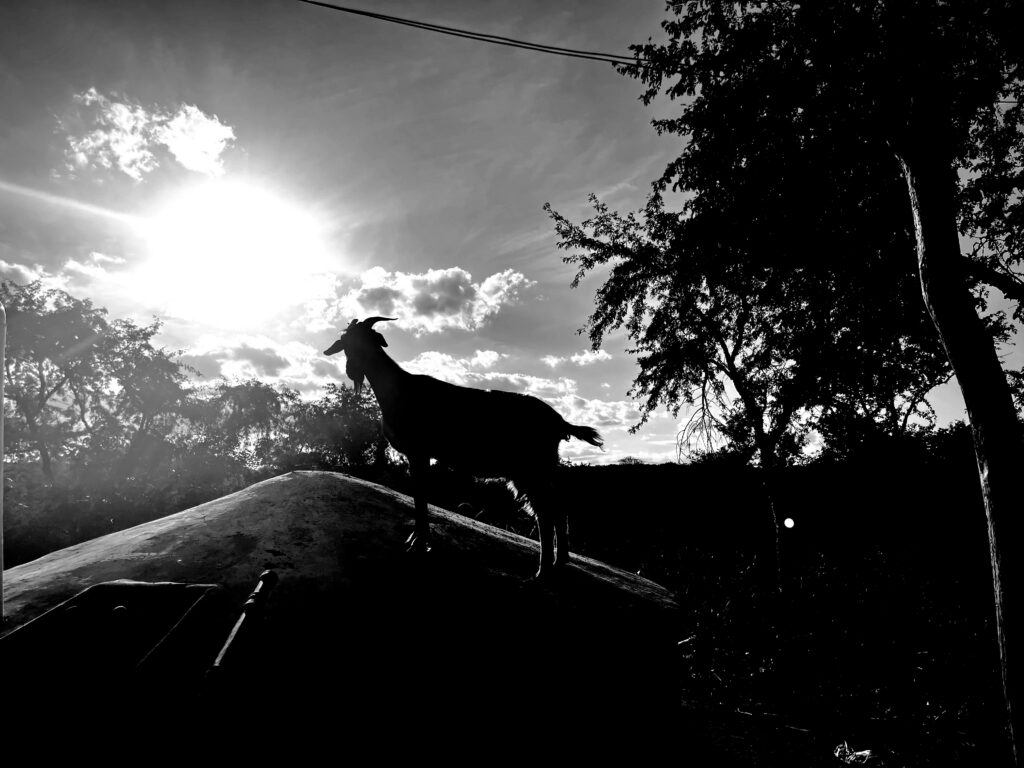 Luces y sombras