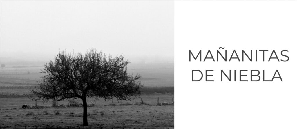 Mañanitas de niebla