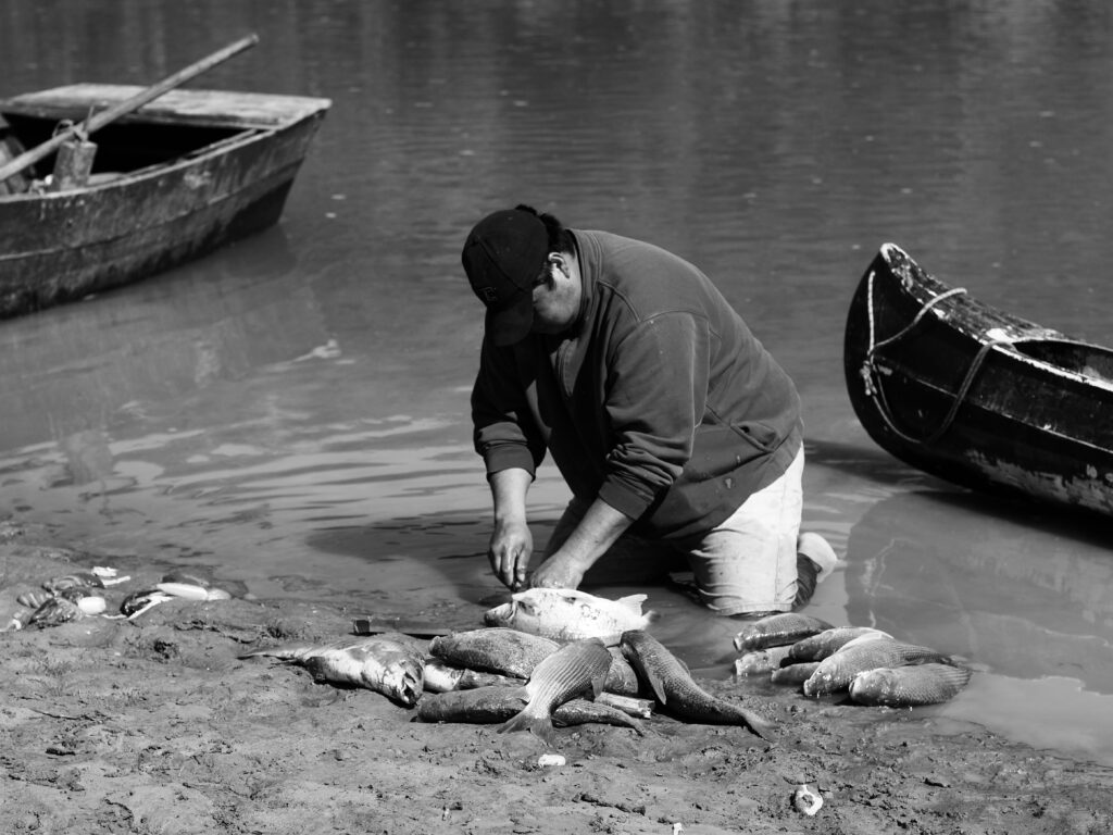 El arte de la pesca