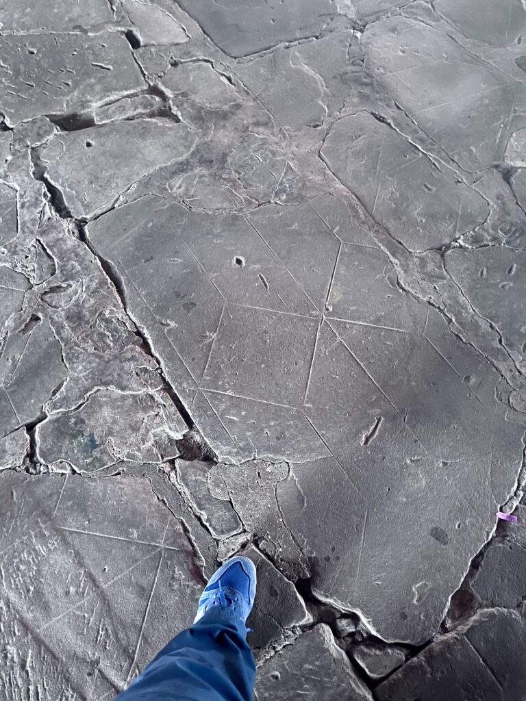 Dibujos astronómicos en San Cosme y Damián