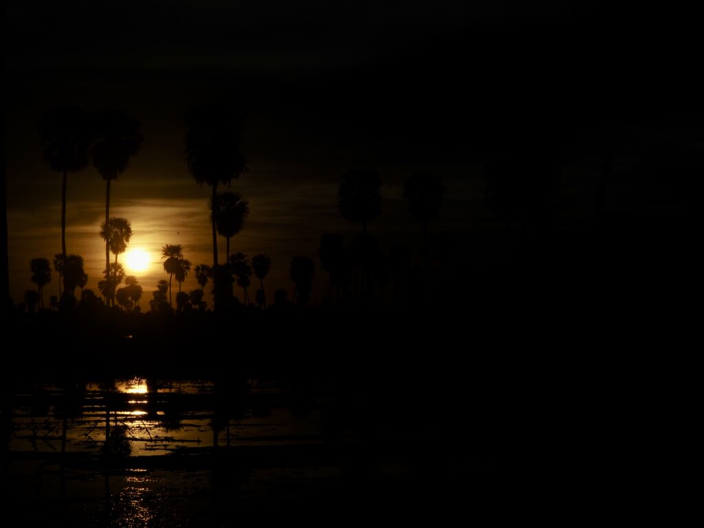 Luces y sombras en el Bañado de la Estrella